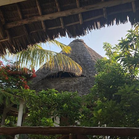 Pasa Lodge Zanzibar 南威 外观 照片
