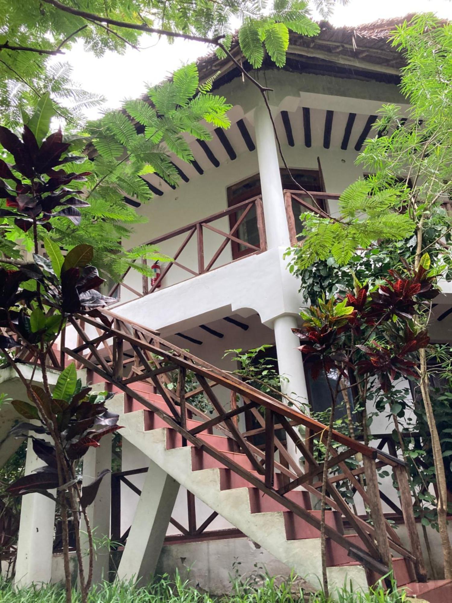 Pasa Lodge Zanzibar 南威 外观 照片