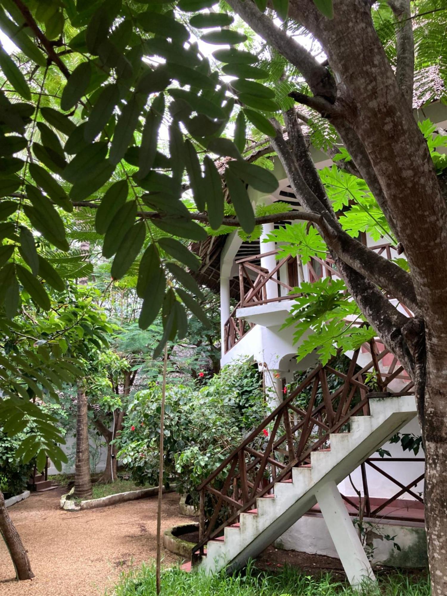Pasa Lodge Zanzibar 南威 外观 照片